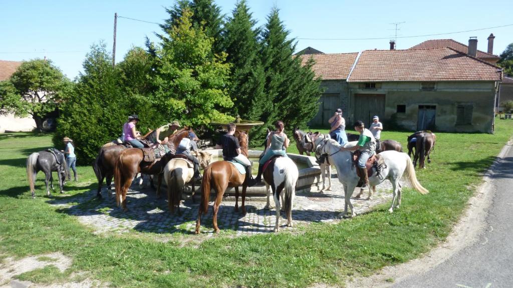 Moirey Chambre D'Hotes La Ferme Du Vallon المظهر الخارجي الصورة