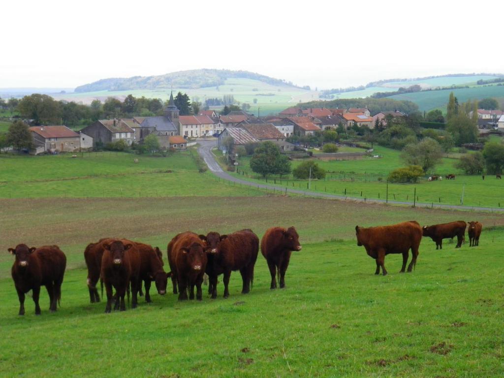 Moirey Chambre D'Hotes La Ferme Du Vallon المظهر الخارجي الصورة