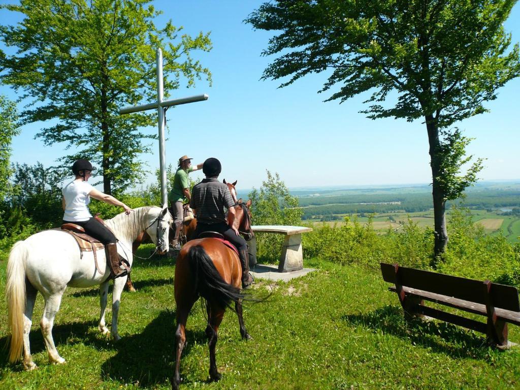 Moirey Chambre D'Hotes La Ferme Du Vallon المظهر الخارجي الصورة